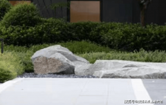 <b>这种对家庭关系的洞</b>