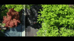 物下面间接承受建建物分量的土层称为地基