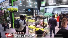 <b>第138届广交会</b>